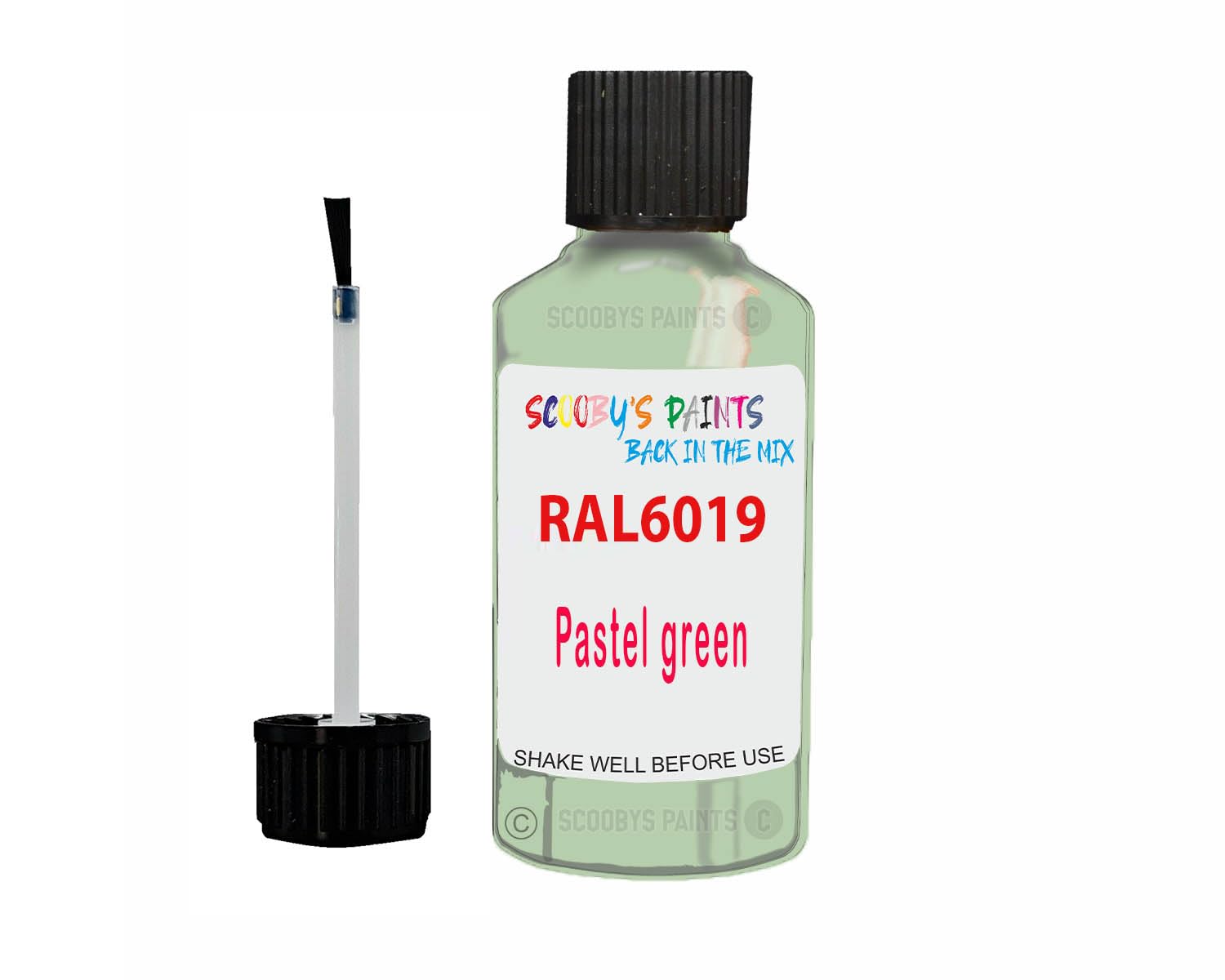 SCOOBYS PAINTS BACK IN THE MIX Anti Rust Direct to Metal Paint Protection prevents Corrosion indoor & Outdoor gloss Finish (30ML Tester Bottle, RAL6019 Pastel green)