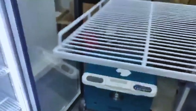 Image of BODEGACOOLER Commercial Beverage Refrigerator, 290L Display Fridge with Soft LED Light, 264 Cans & 120 Bottles Commercial Merchandiser Refrigerator For Kitchen, Home,Office,Garage,Gym,Shop,Man cave