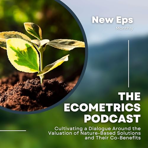 The EcoMetrics Podcast cover art