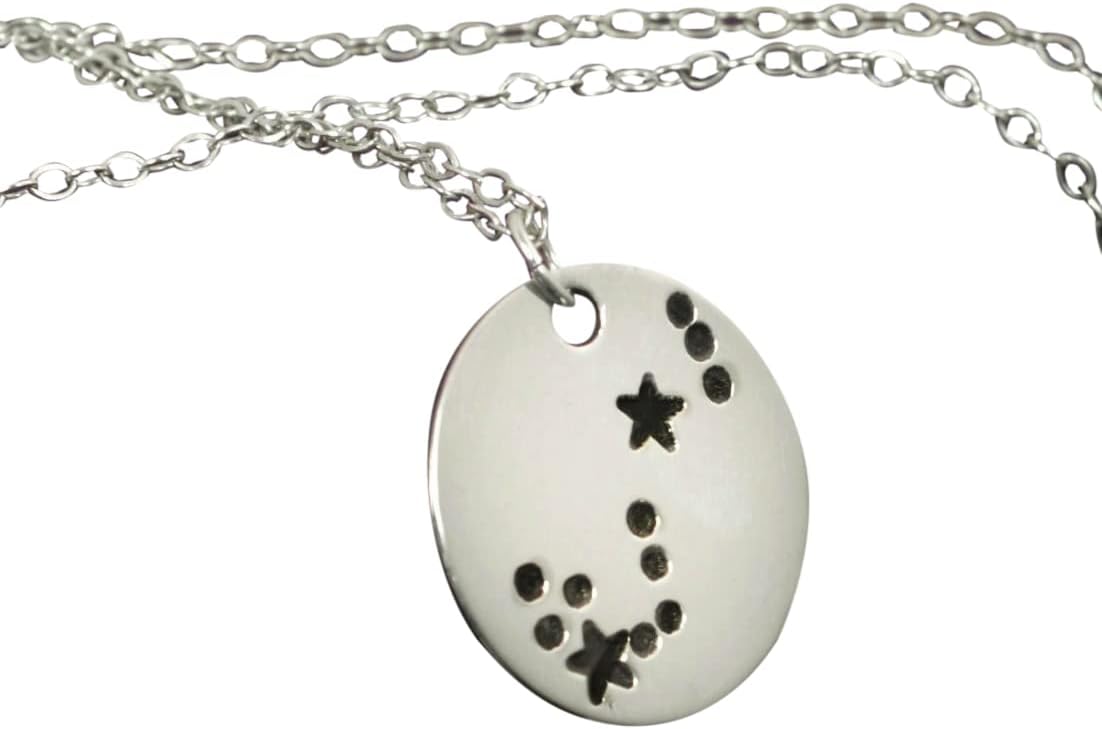 Sterling Silver Scorpio Necklace