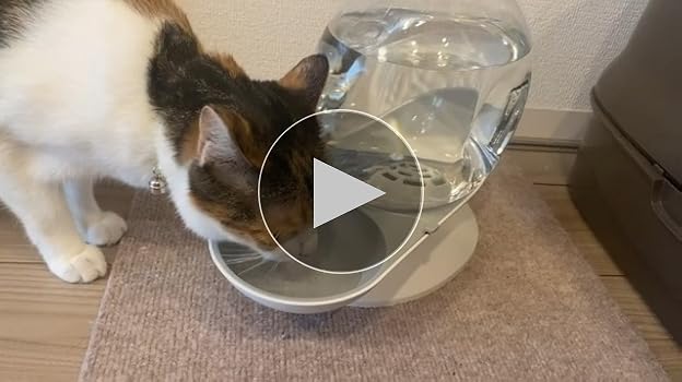 Amazon | 水飲み器 自動給水器 みずのみ 2.8L大容量 猫 中小型犬