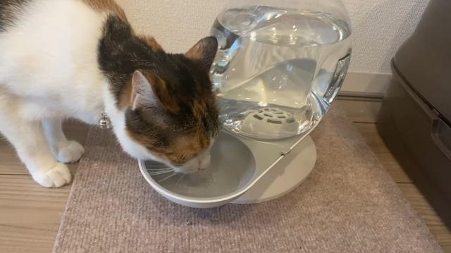 Amazon | 水飲み器 自動給水器 みずのみ 2.8L大容量 猫 中小型犬
