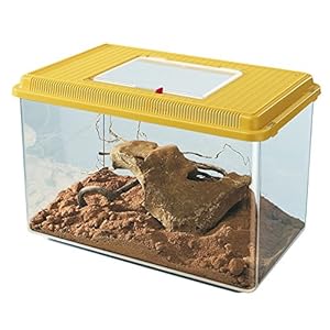 Ferplast Geo Tank Clear Plastic Reptile Insect Maxi