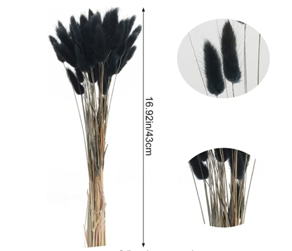 50 – 60 Fiori Secchi A Forma Di Coda Di Coniglio, Decorazione Per La Casa Lagurus Ovatus - Foto 9