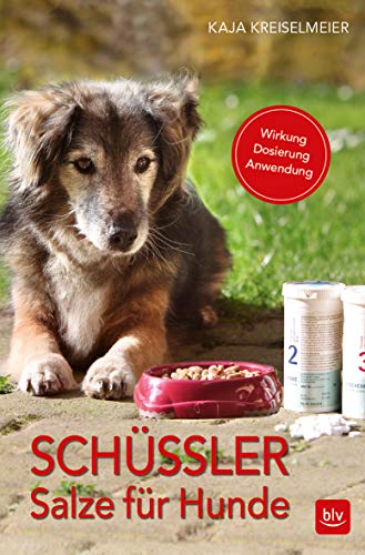 Télécharger Schüssler-Salze für Hunde: Wirkung · Dosierung · Anwendung Livre PDF Gratuit