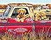 Dimensions Golden Retriever Truck Ride Paint by Numbers for Adults, 20'' W x 16'' L