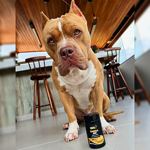 Suplemento Ômega 500 - Cachorro Forte - Suplemento Alimentar para Cães