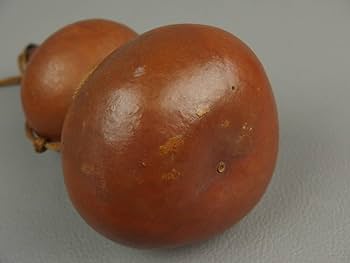 骨董　瓢箪 61uY5nClSjL._AC_UF350,