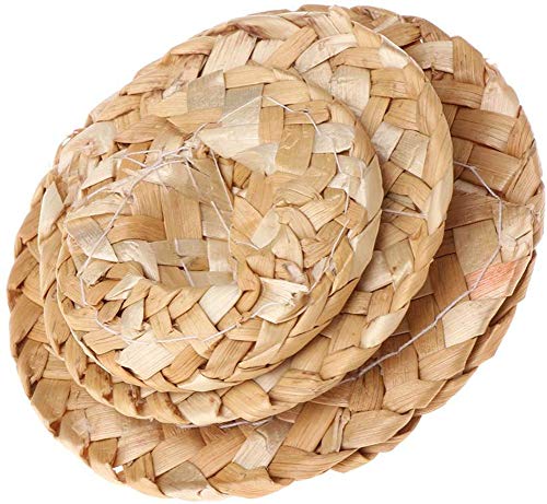 Image of 3 Pcs Handmade Birds Straw Hat Funny Mini Hat for Bearded Dragons Head Wear for Parrot Parakeet Macaw Cockatiels Lovebird