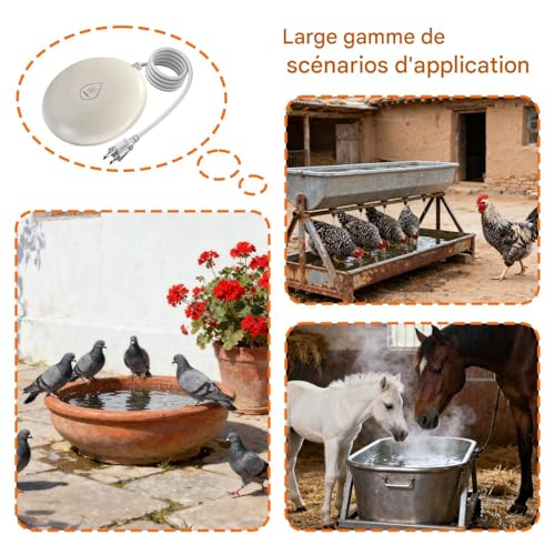 Chauffe-eau pour bain d'oiseaux et chauffage de bassin extérieur - 5