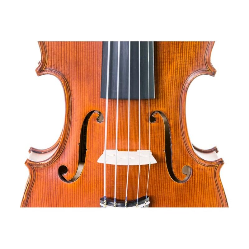 Gliga - Violín Gliga Gems I 4/4 5 cuerdas 4/4 - COVIGLGEI5