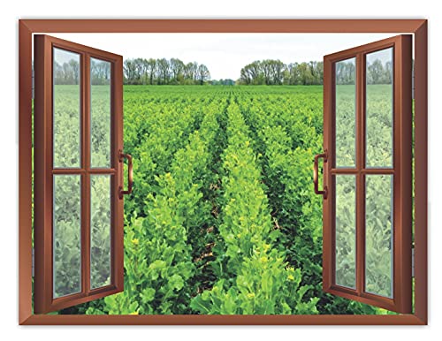 Image of CVANU Beautiful View Fresh Green Leafy Plants Radiant with Sunshine with Blue Sky Filled with Bunch of White Clouds Removable Faux Window Wall Sticker /Decals for Living Room etc Cv 41