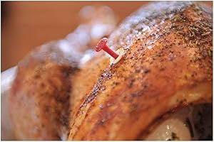 6X Disposable Poultry Thermometers with No-Touch Forehead Thermometer Feature