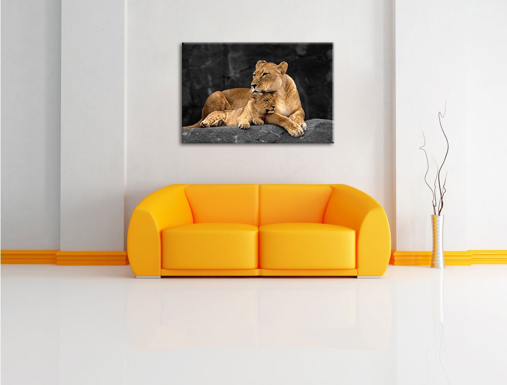 Pixxprint Löwe Löwenjungen, Größe: 120x80cm, Leinwandbild, fertig gespannt, Wandbild, Dekoration, Kunstdruck, kein Poster