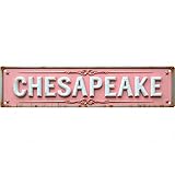 Vintage Tin Sign 16 * 4 Inches "CHARLOTTESVILLE" - Suits Backyard, Garage, Living Room - Man Cave Decor, Outdoor Art, Cool Wall Decor