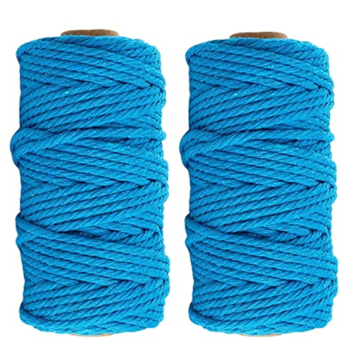 Image of ecofynd 100 Meters Aqua Blue Colour Cotton Cord, Colour Dori for Wall Hanging Plant Hanging Craft Making, Natural Thread Rope for Handmade Plant Hanger (Cord-BLU)