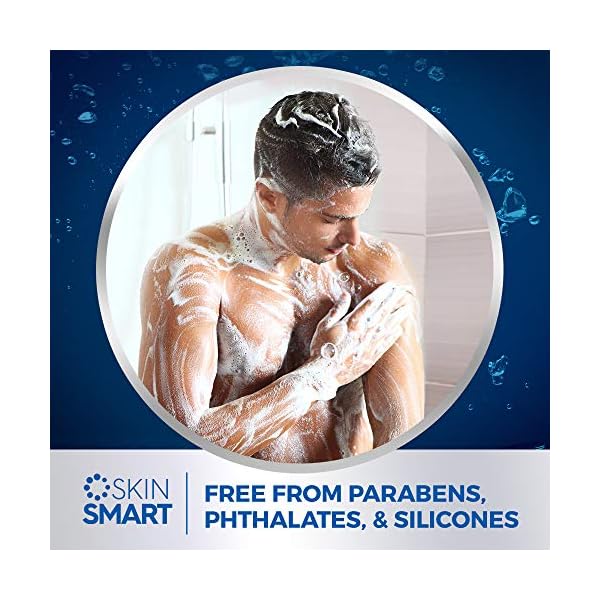 Dial-Men-3in1-Body-Hair-and-Face-Wash-Hydro-Fresh-20-fl-oz-Pack-of-4 Dial Men Hair + Body Wash, Hydro Fresh, 20 fl oz (Pack of 4)