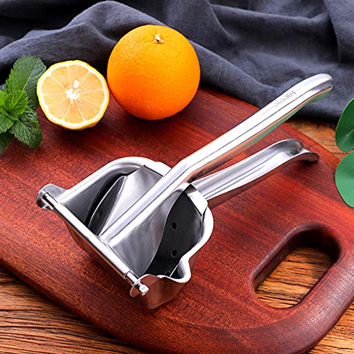 Top 8 Juice Extractor With Pulps of 2021 Best Reviews Guide