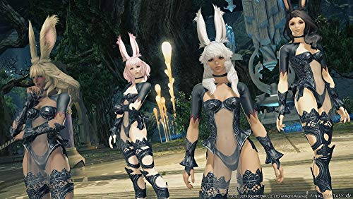 Final Fantasy Xiv : Shadowbringers Ps4 - vue 10