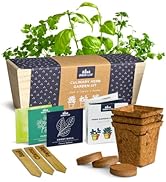 Herb Garden Kit Indoor – Indoor Herb Garden Starter Kit – Basil, Parsley & Cilantro Plant Seeds –...