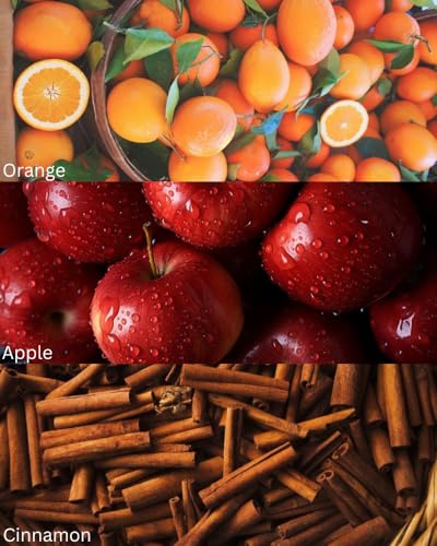 Image of TOXICMALE Terre de + Hawas | PerfectLong lasting Unisex perfume For Date | perfumes for men & women | perfume for him & her | Gift for him & her | TMA19 | 50 ml perfume | TM Perfume House