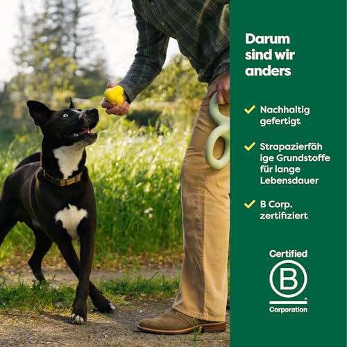 Earth Rated Hundeball, EIN interaktiver Apportierball für alle Rassen in verschiedenen Größen, aus Naturgummi, das perfekte Spielzeug für drinnen und draußen, groß, gelb