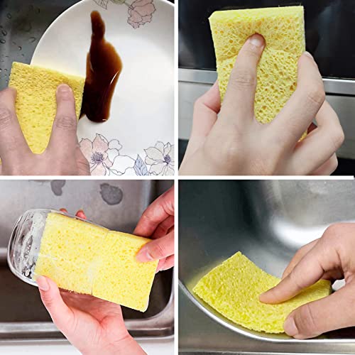 Save 50% on CELOX 12 Pack Compressed Wood Pulp Sponges - Image 6