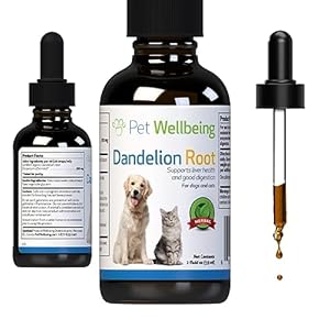 Pet Wellbeing Dandelion Root for Cats – Liver & Heart Health, Digestive Function, Blood Sugar Support, Certified Organic – Veterinarian-Formulated Herbal Supplement 2 oz (59 ml)