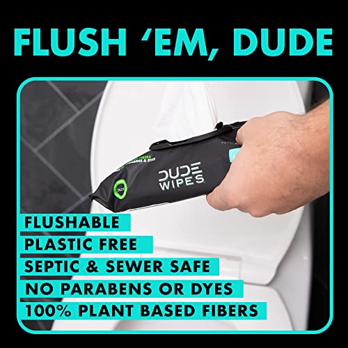 Dude Wipes - Flushable Wipes - 6 Pack, 288 Wipes - Mint Chill Extra-Large Adult Wet Wipes - Eucalyptus & Tea Tree Oil - Septic And Sewer Safe #TOP4