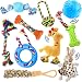 10 pack set of dog toys for small dogs & puppies. Great for teething, chewing, and playtime. Assorted toys: rope, ball, plush, squeaker, stuff less, and IQ interactive treat ball. Great gift item