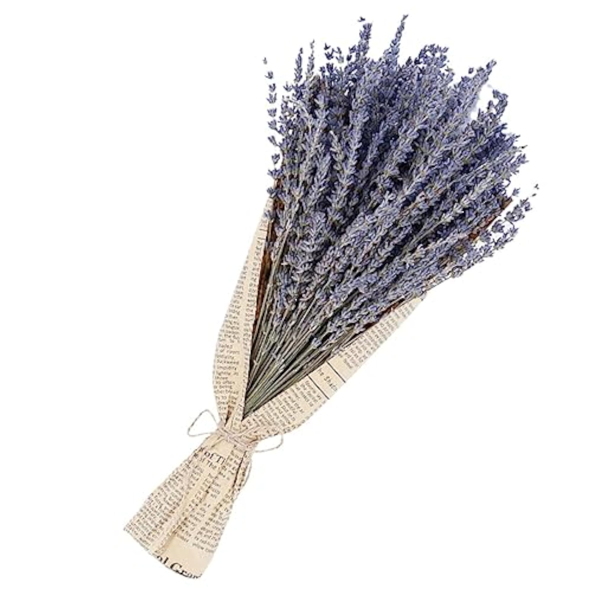 Dried Lavender Flower Bunches for DIY Crafts