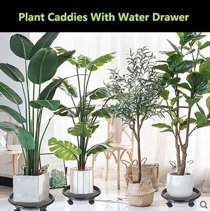 Diumiss Cultura O1PS PLANT-7 BLACK Mlykya 16.3 Inch Black Plant Caddy Plant Stand On Wheels Round Planter Tray Patio Gardens Flower Pot Mover thumb #1