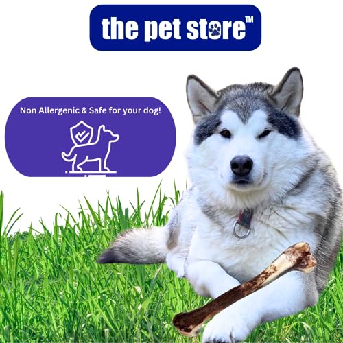 J&E Importers The Pet Store 7” Jurassic Bone Dog Chew Pet Toy For Aggressive Chewers, Maximum Strength, Tough Extreme, Hours Of Fun For Your Dog. - Image 6