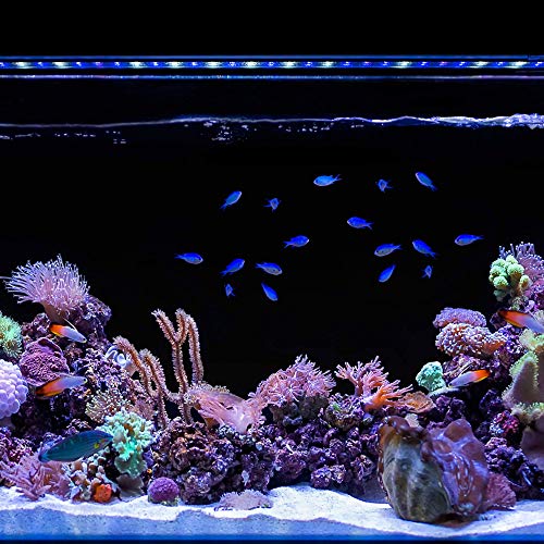 CURRENT-USA-Orbit-Marine-IC-LED-Saltwater-Reef-Aquarium-Light-with-Wireless-Lighting-Wave-Pump-Control-Loop-App-Bluetooth