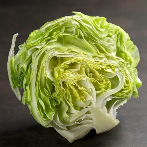 semillas de lechuga de hoja, semillas de lechuga, semillas de hortalizas plantas en macetas semillas de hortalizas invernadero semillas de hierbas semillas de plantas Variedades 300pcs