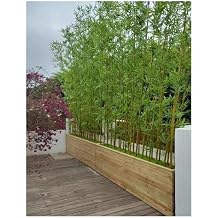 Large Artificial Bamboo Tree Fake Plant Indoor Outdoor 3ft 4ft 5ft 6ft 6.5ft 7ft 8ft Tall, Thin Faux Bamboo Plants with Encrypted Silk Leaves for Yard Privacy Screen Fence DIY Decor10 Bamboos,1.2m/3.