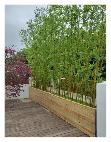 Large Artificial Bamboo Tree Fake Plant Indoor Outdoor 3ft 4ft 5ft 6ft 6.5ft 7ft 8ft Tall, Thin Faux Bamboo Plants with Encrypted Silk Leaves for Yard Privacy Screen Fence DIY Decor(100 Bamboos,2.5m/8