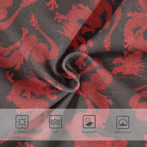 Boys' Exclusive Briefs Toddler Underwear 95% Combed Cotton Boxerbriefs 2T Red Dragon Pattern 333