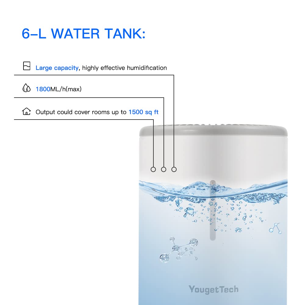 https://m.media-amazon.com/images/I/51eKgrioW0L.jpg