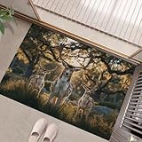 Support Antidérapant TPR: Doté d’un support en TPR et fil de coton durable, ce tapis antidérapant assure une sécurité et une stabilité optimales sur sols lisses tels que bois, carrelage ou ciment, empêche efficacement les glissements, protège votre famille, et grâce à ses poils doux absorbants, il retient l’eau et la saleté pour garder votre intérieur propre et sec en toute simplicité.Remarque: Placez le tapis uniquement sur un sol sec et lisse