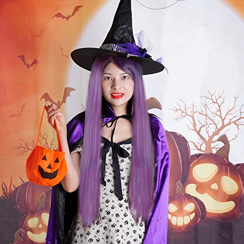 Rbenxia 32'' Women's Cosplay Wig Hair Wig Long Straight Costume Party Full Wigs Light Purple #TOP6