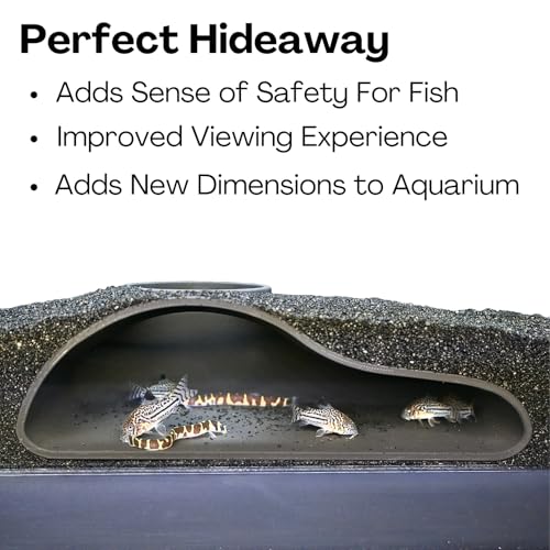image for Lucky Critter Aquarium Underground Tunnel Cave Natural Curve | Viewing