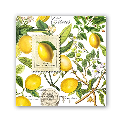 Michel Design Works Soft Triple-ply Paper Cocktail Napkins, Lemon Basil Themed, Perfect for Everday Use and Display