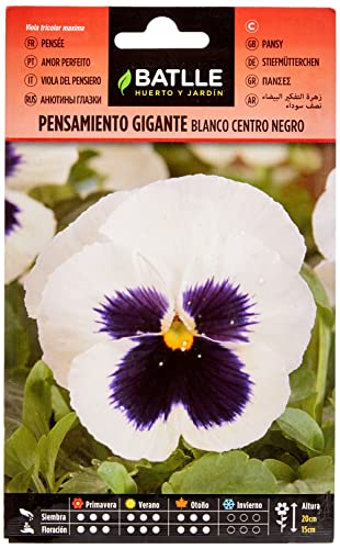 Semillas Batlle Pensamiento BLANCO Ctro.NEGRO