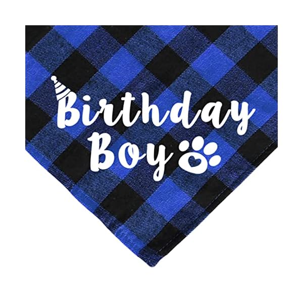 Jotfa cat birthday party supplies, plaid cat kitten birthday boy bandanas with cat birthday hat cat bow tie birthday number for cat kitten birthday decorations - image 5