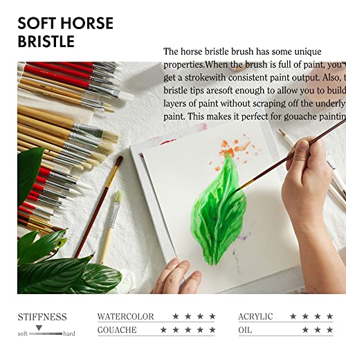 Artify 38 Pieces Paint Brushes, Intermediate Series, Hog Bristle, Horse Hair And Nylon Hairs Art Set Includes A Carrying Canvas Roll, For Acrylic, Oil, Watercolor And Gouache #TOP4