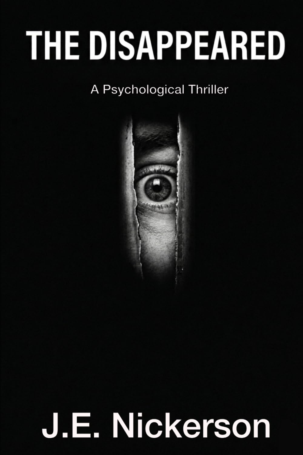 The Disappeared A Psychological Thriller: Quiet Pressure Thrillers Book 5