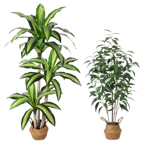 Ferrgoal Artificial Plants, 5 Ft Dracaena Tree and 4Ft Fake Eucalyptus Tree with Basket Cover