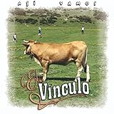 El Vínculo