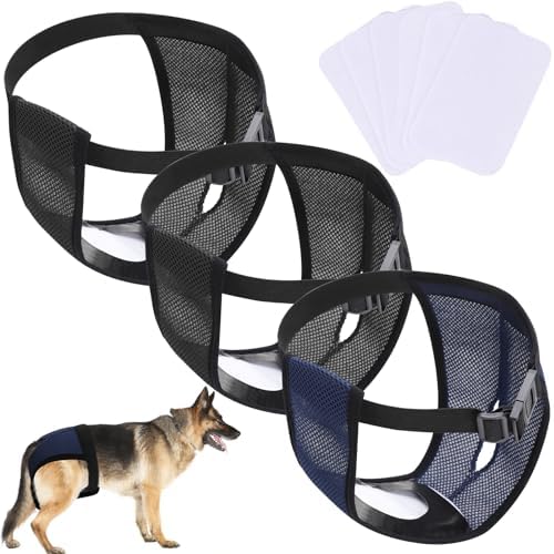 SUNNIFLY 3 Hundewindeln Für Hündinnen Größe M - Waschbare Läufigkeitshose